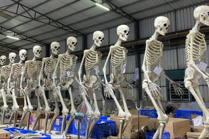 Home Depot's Gigantic Skelton 'Skelly' Is Already Sold Out