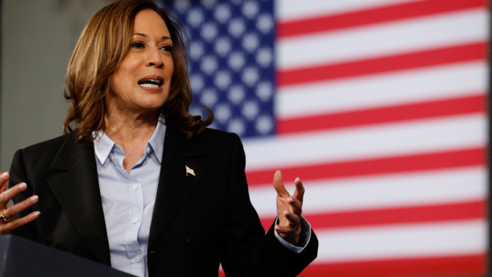 NEWS STORY Kamala Harris wants to give small businesses a big tax break. Will it help them .png