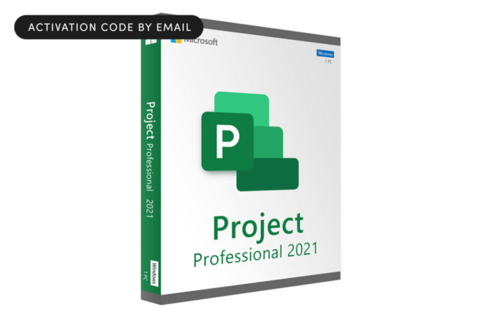 Unlock the Power of Data with Microsoft Project 2021 Professional